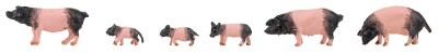 Faller 151916  6 Schw&auml;bisch-H&auml;llische Landschweine