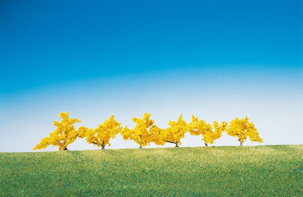 Faller 181475  6 Forsythien  gelb blühend