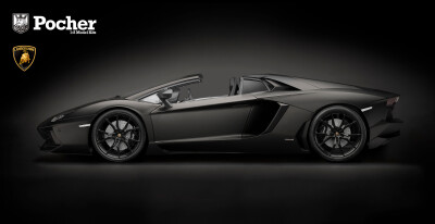 Pocher HK121  Lamborghini Aventador LP700-4 Roadster Nero...