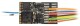 ZIMO MS481R Multiprotokoll DCC, mfx, MM