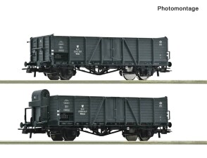 Roco 6600216 2-tlg. Set: Offene G&uuml;terwagen, PKP, Ep....