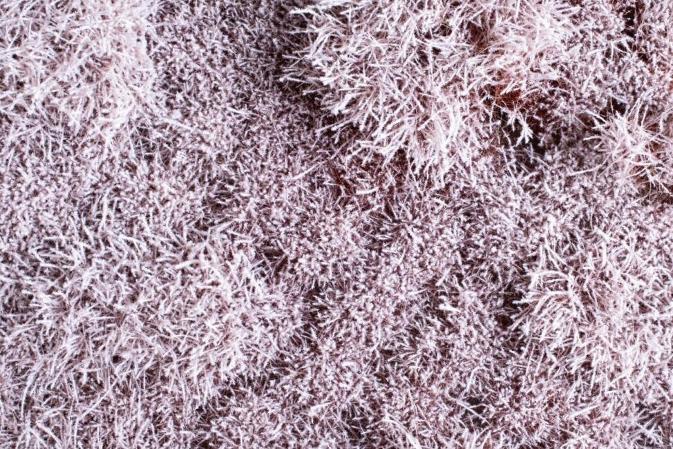 Auhagen 70903 Büsche/Sträucher im Schnee 4-30 mm