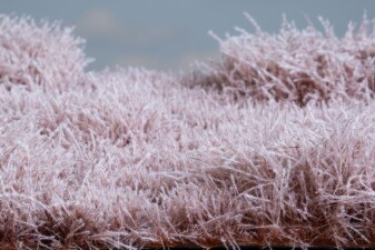 Auhagen 70903 B&uuml;sche/Str&auml;ucher im Schnee 4-30 mm