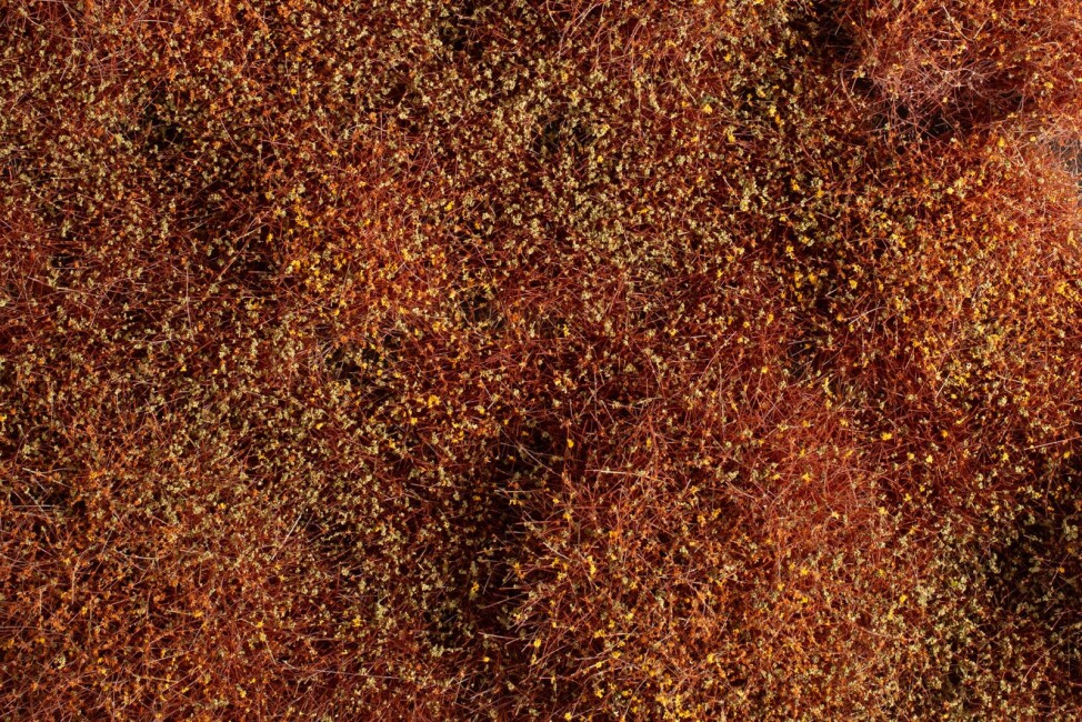 Auhagen 70904 Büsche/Sträucher Winter 4-30 mm