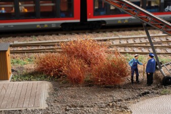 Auhagen 70904 B&uuml;sche/Str&auml;ucher Winter 4-30 mm