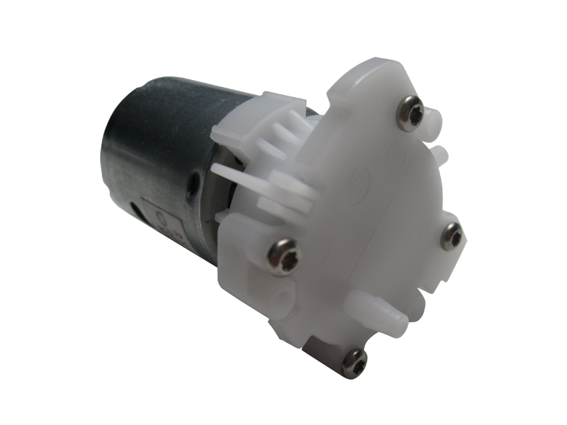 Schönwitz 50153 Zahnradpumpe Wasserpumpe Pumpe selbstansaugend