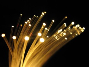 Sch&ouml;nwitz 50216 2 Meter 0,25mm LWL Lichtwellenleiter...