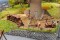 Faller 190036 Aktions-Set Abenteuerspielplatz