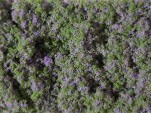 Auhagen 76931 Blumenmatte violett