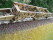 Stromlinie Voigtl&auml;nder 2000100 18 achsiger Tragschnabelwagen Bj. 39 Ep. II DRG Fertigmodell